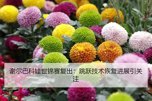谢尔巴科娃世锦赛复出：跳跃技术恢复进展引关注